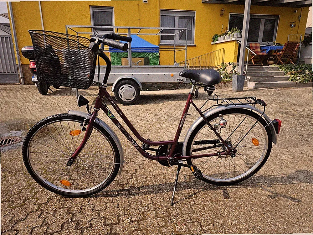 1x Gespann Fahrrad Inkl.Anhänger Für Hundetransport