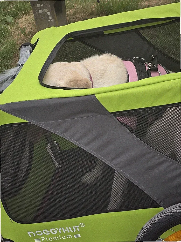DoggyHut Premium Hunde-Fahrradanhänger grün-schwarz mit Netzfenstern für ebike