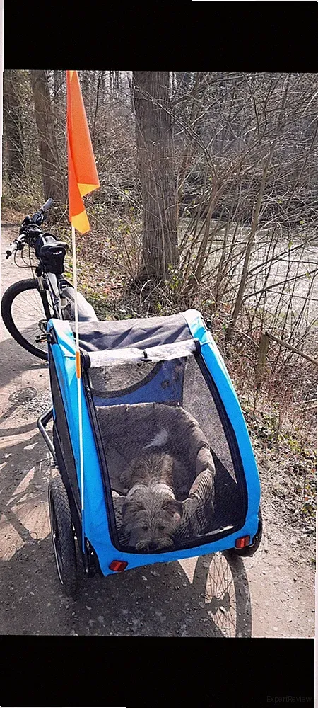 Fahrrad-Anhänger für Mittelgroße Hund von Klarfit HUSKY