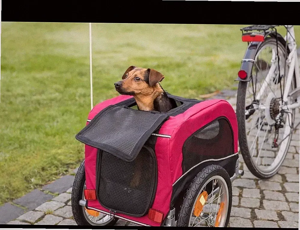 trixie fahrradanhänger s