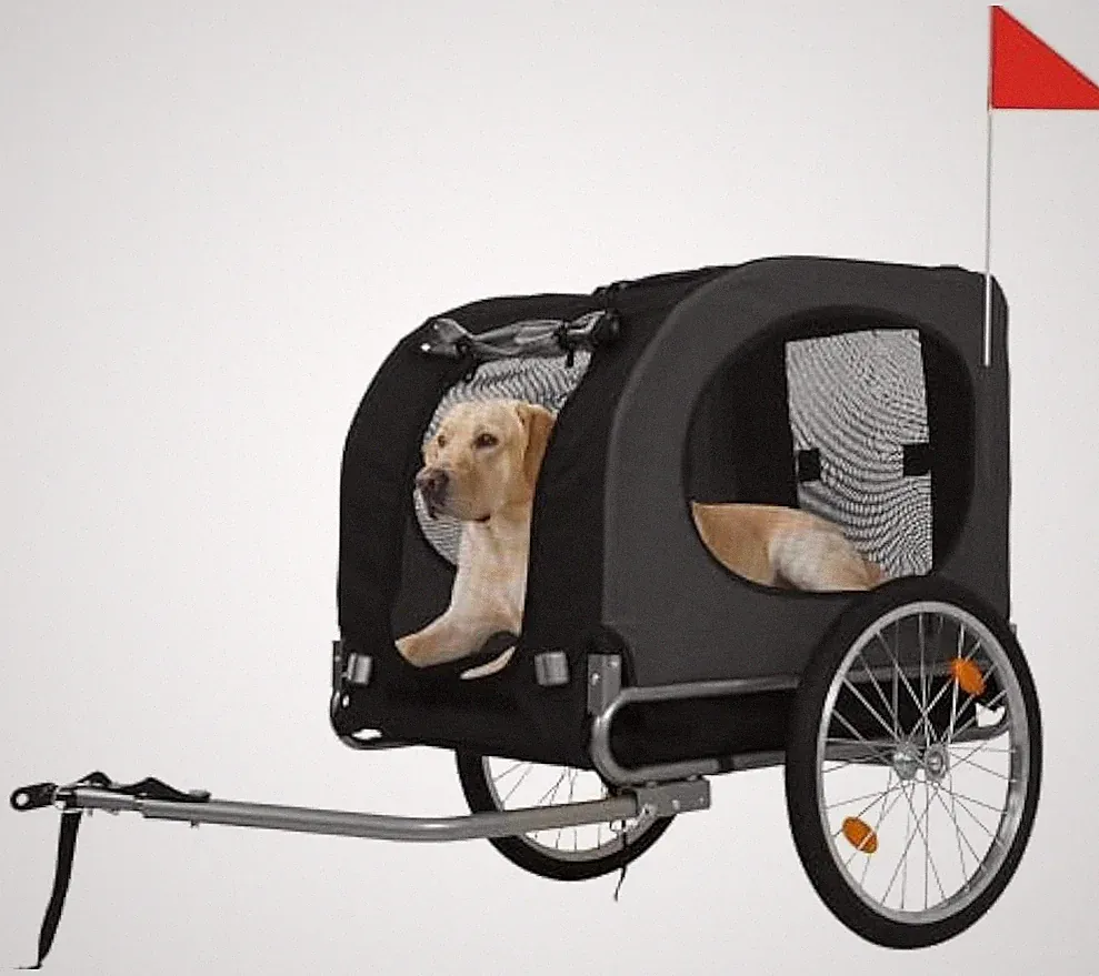 Arten von Fahrradanhängern für Hunde