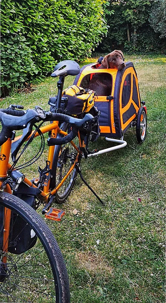 Gefederter Fahrradanhänger für Hunde, TrendPet, Größe M, wie neu!