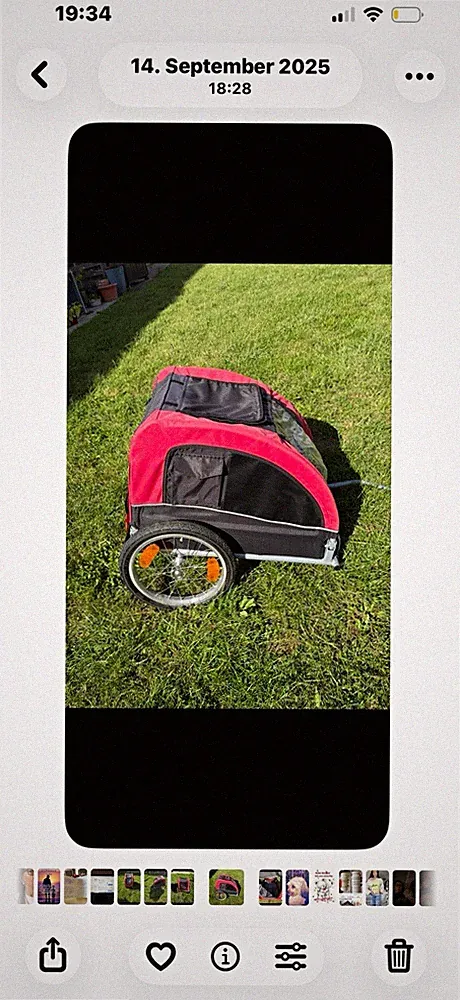 Hunde, Fahrradanhänger