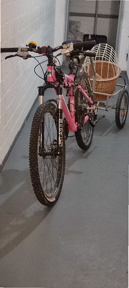 Steppenwolf Mountainbike mit Hundeanhänger, voll gefedert, wenig benutzt
