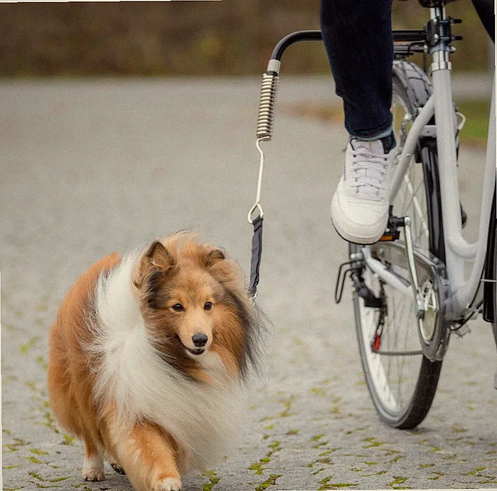 Trixi Hunde Biker-Set in L-Form / Abstandhalter / Ruckdämpfer