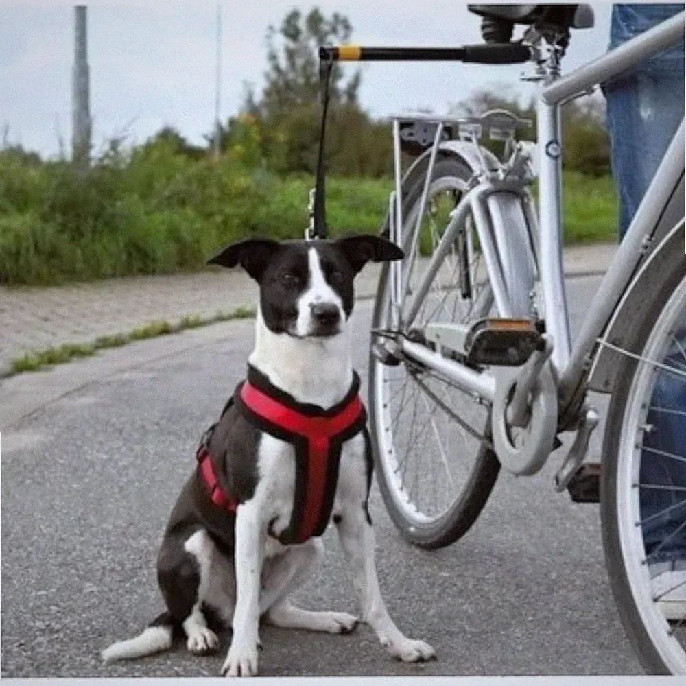 Trixie 1283 Biker-Set Abstandshalter für Hunde Hunde Fahrrad-Set