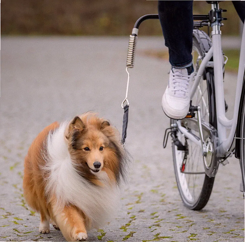 Trixie Biker Set Hundeführstange Fahhrad Hund sicher am Fahrrad führen