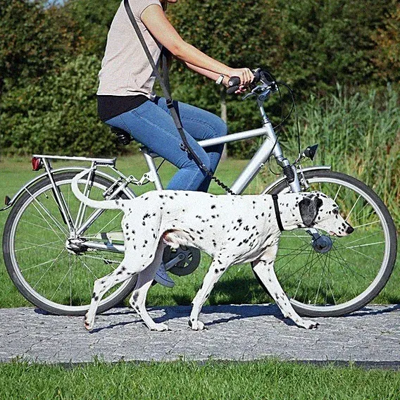 TRIXIE Hunde Biker-Set Fahrradhalterungsset für Hunde mit Leine
